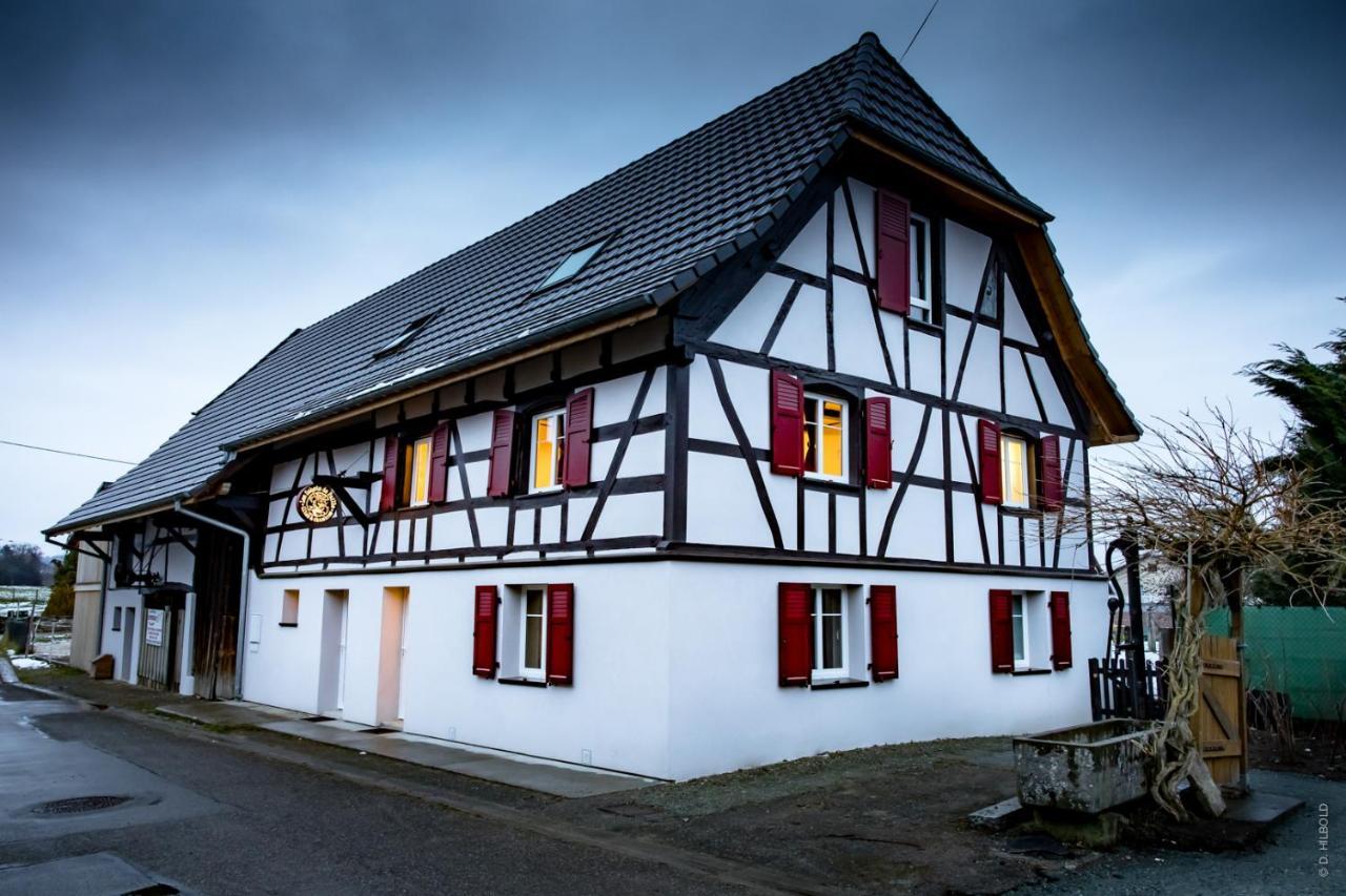 Gite Les Sabots De Paille, Alsace Haut-Rhin Ballesdorf Exterior photo